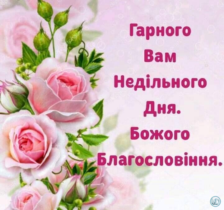 Доброго ранку гарного дня картинки на українській мові красивые с пожеланиями