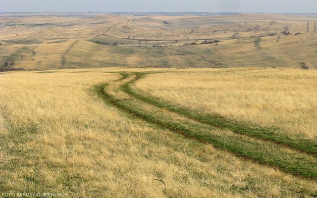 Луганский государственный заповедник. Провальская степь Королевские скалы. Провальская степь заповедник. Провальская степь Луганская область. Провальская степь (Ростовская область).