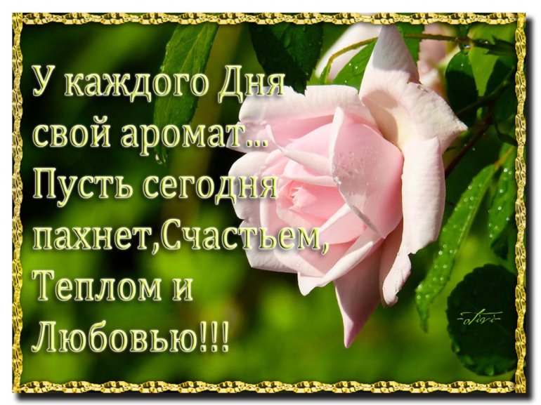 У каждого дня свой аромат пусть сегодня пахнет счастьем теплом и любовью картинки с надписями