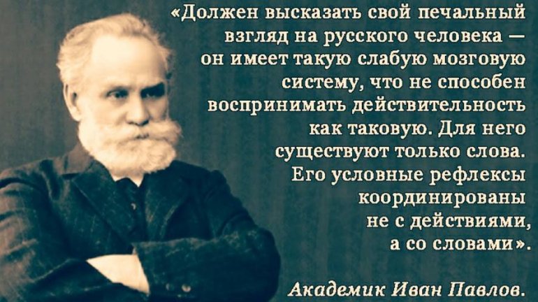 Нужный высказать. Академик Павлов о русском уме. Академик Иван Павлов о русских. Павлов цитаты. Павлов Иван Петрович о русском уме.